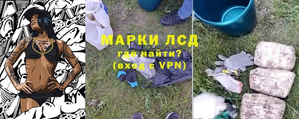 амф Инта