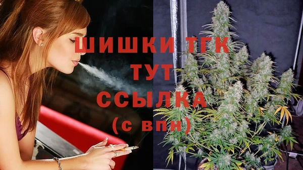 амф Инта