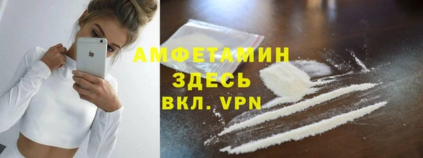 молекула духа Инсар