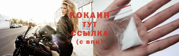 молекула духа Инсар