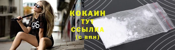 молекула духа Инсар