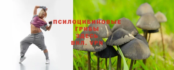амф Инта