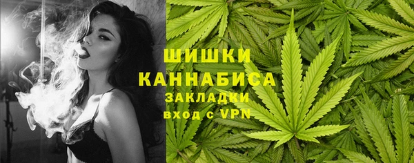 молекула духа Инсар