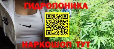 герыч Лесосибирск