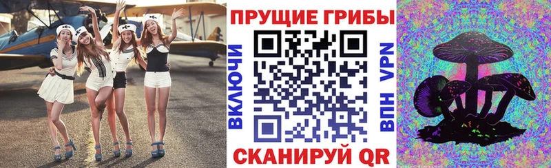 Псилоцибиновые грибы Cubensis  магазин    Топки 